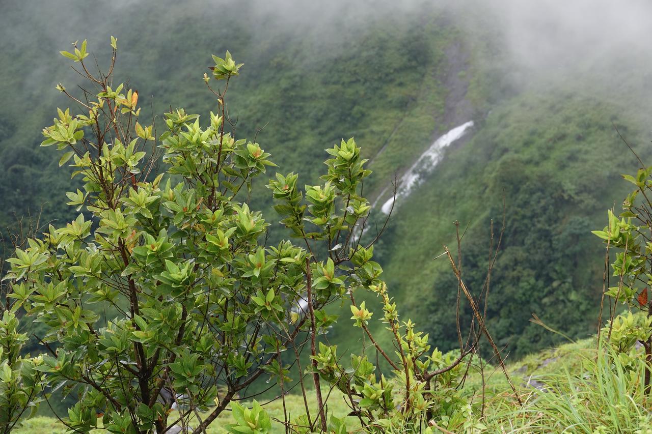 Orion County Hotel Vagamon Luaran gambar