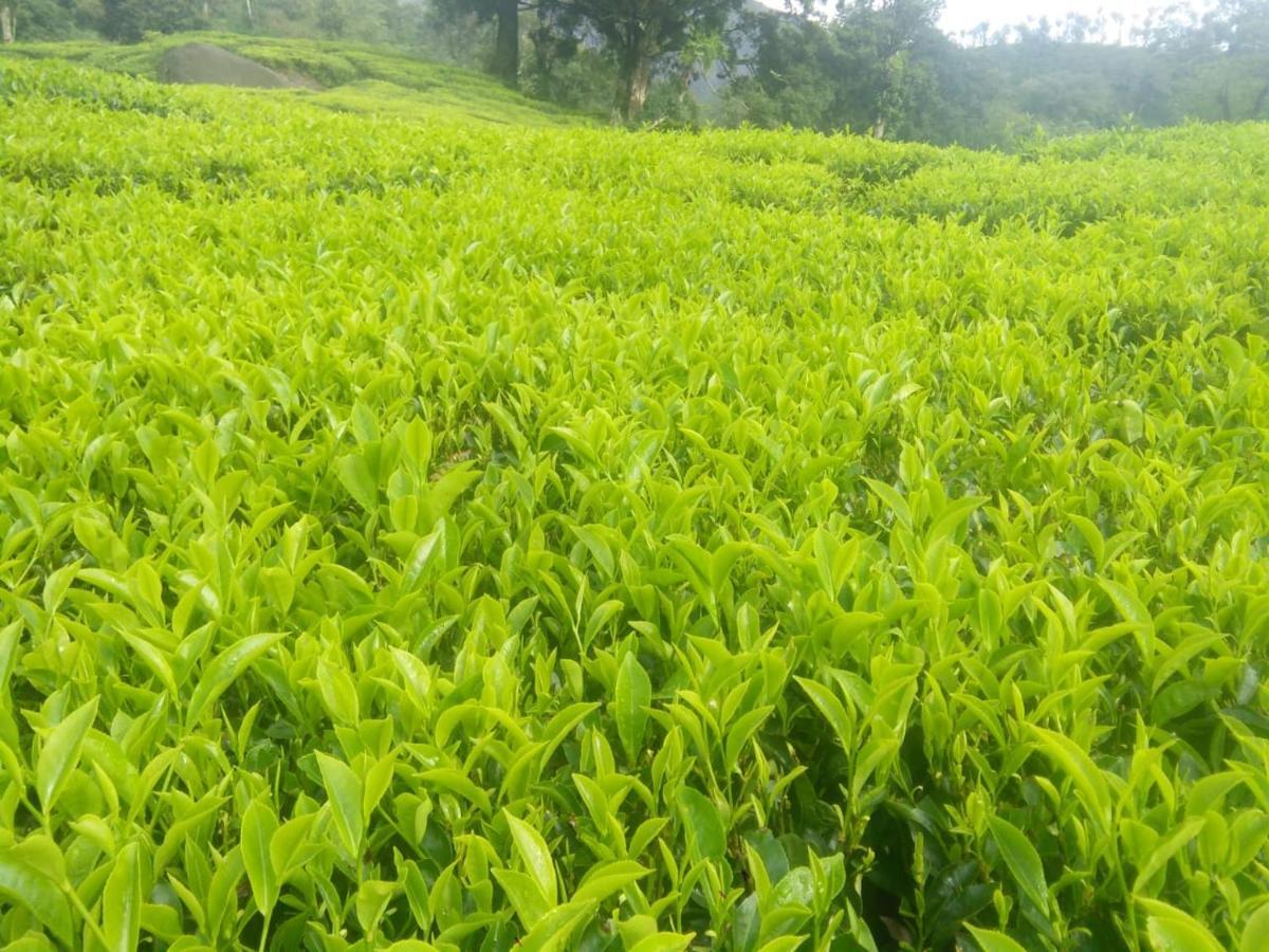 Orion County Hotel Vagamon Luaran gambar